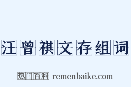 汪曾祺文存组词是什么意思的图片